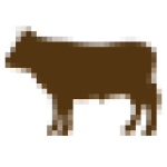 Breeding: Bulls Beef Breeds