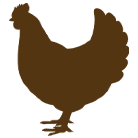 Chicken: Breeds